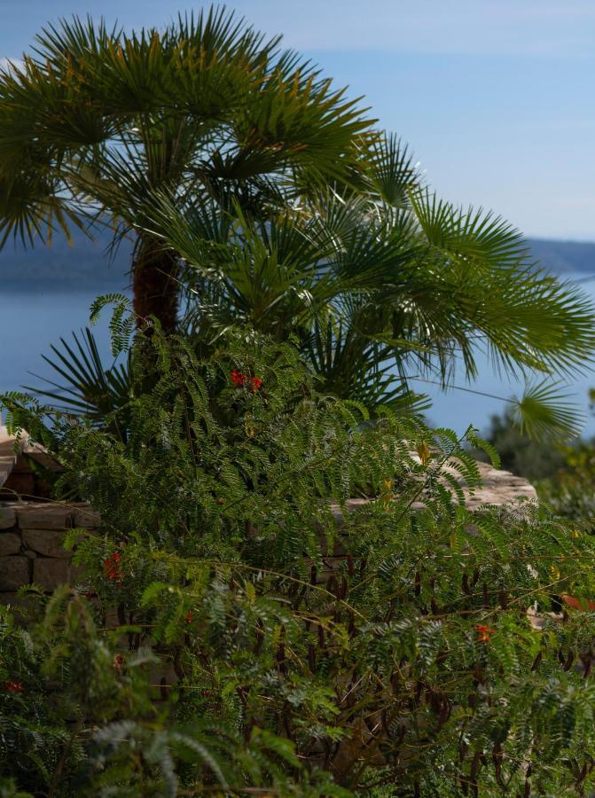 Bellina Villa Agnítsini Exteriér fotografie